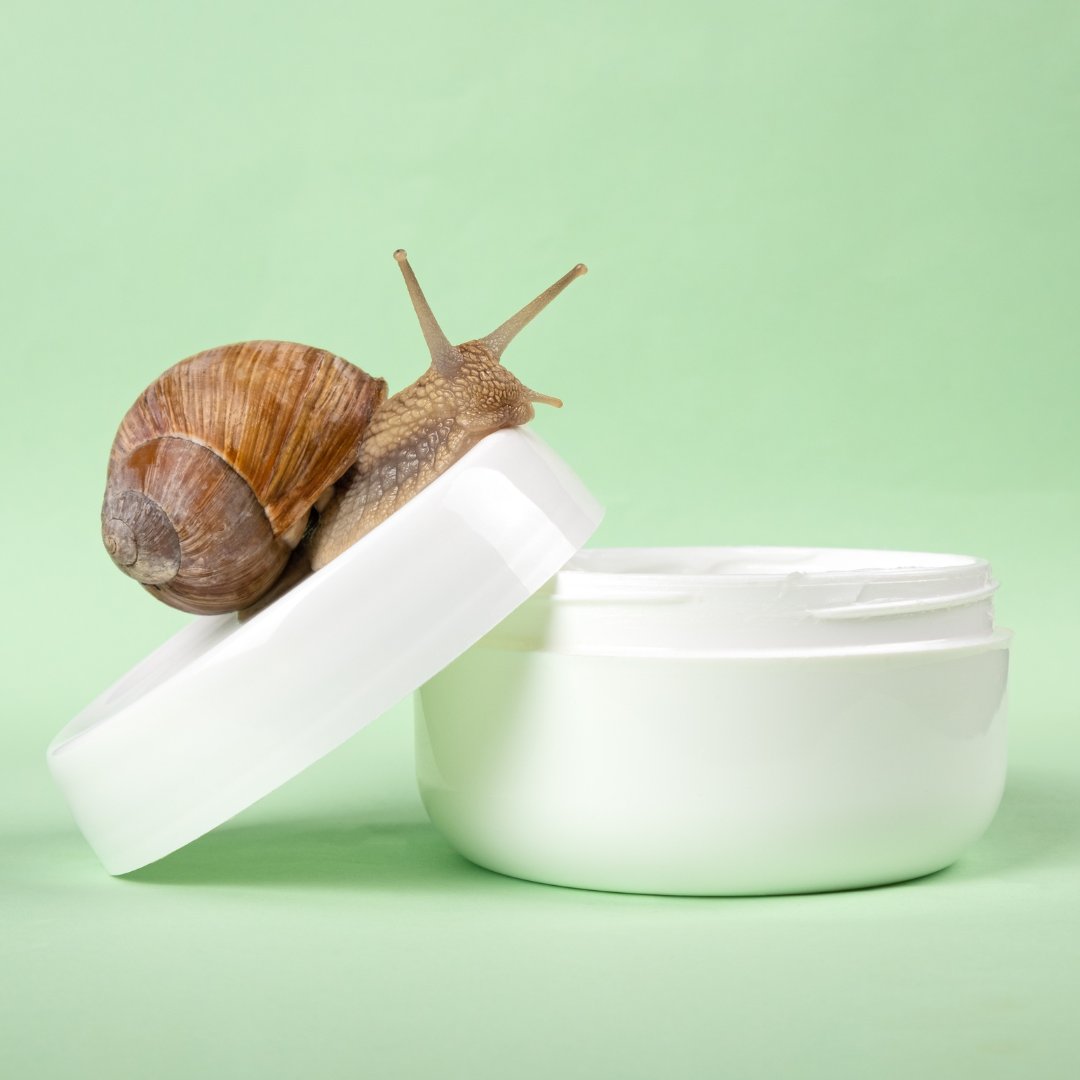 Snail Mucin vs. Porphyridium cruentum: Which Is Better for Sensitive Skin